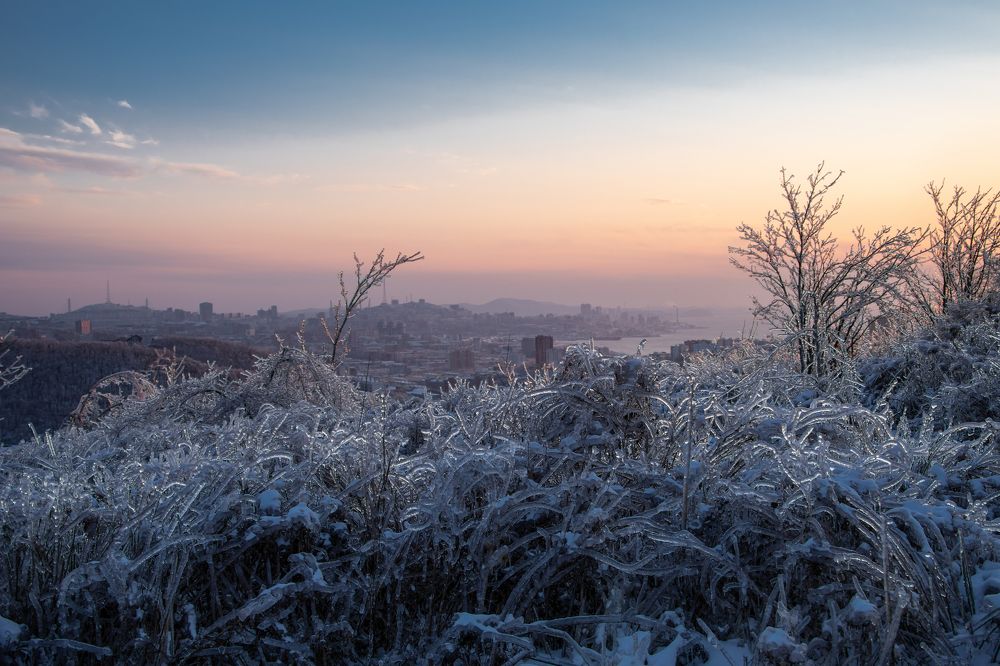 Photograph by TAISIA CHAIKA