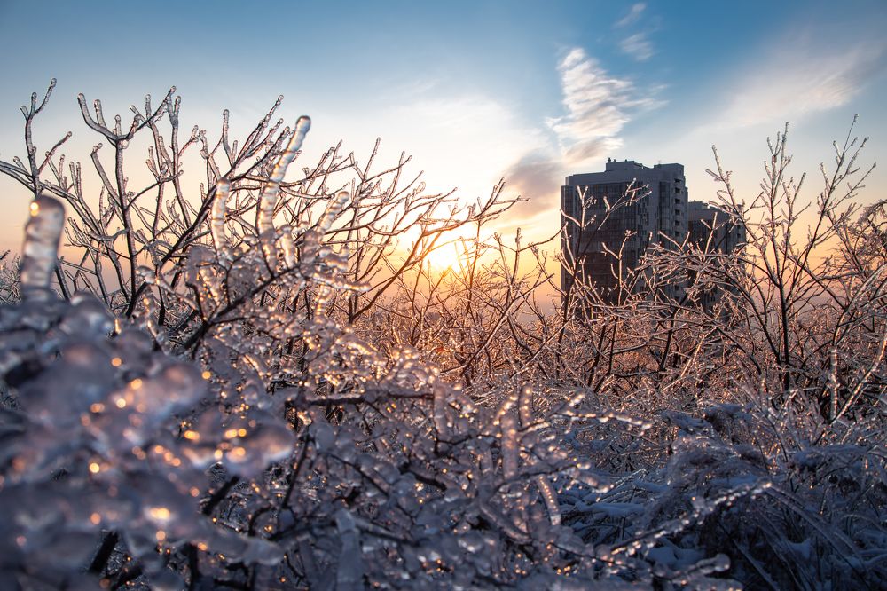 Photograph by TAISIA CHAIKA