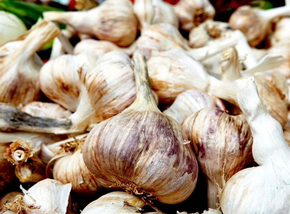 Photograph by Haim Berman