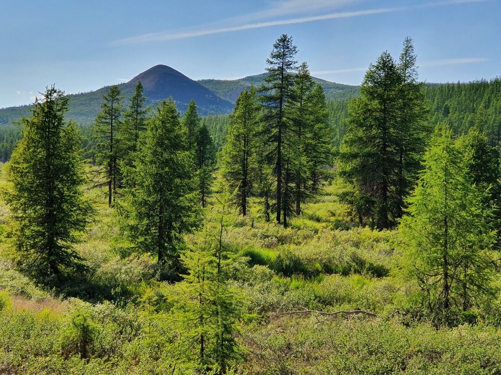 Photograph by Антон Жирнов