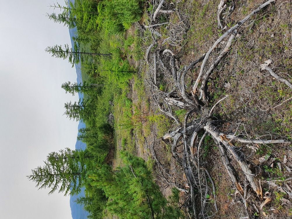 Photograph by Антон Жирнов