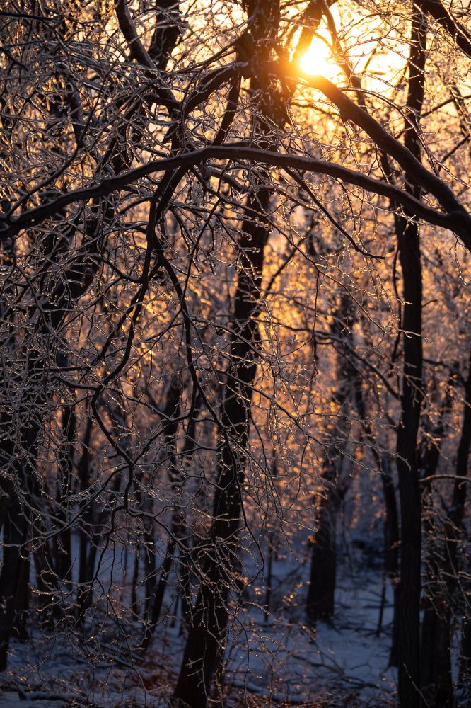 Photograph by TAISIA CHAIKA