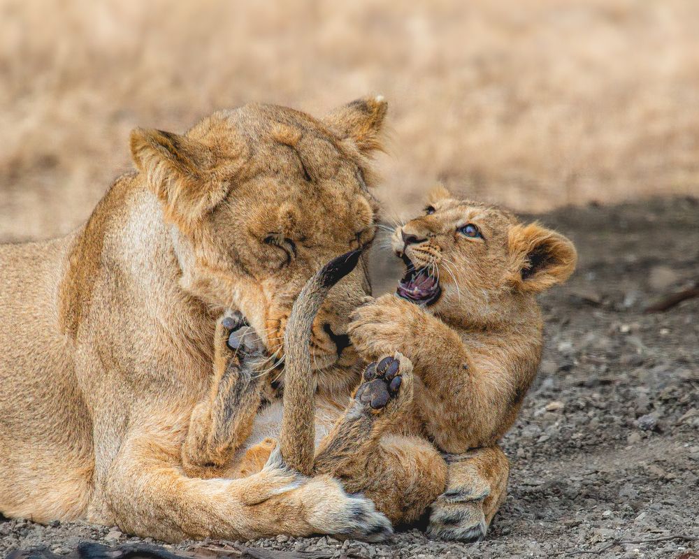 Mom's lap one of the best place in the world