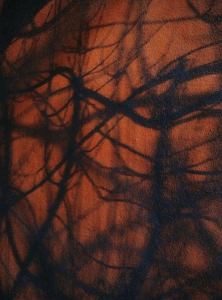 Photograph by Алексей Багманян