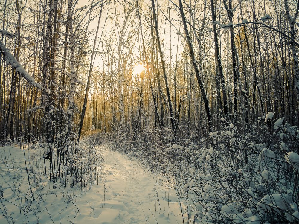 Photograph by Виктор Сёмушкин