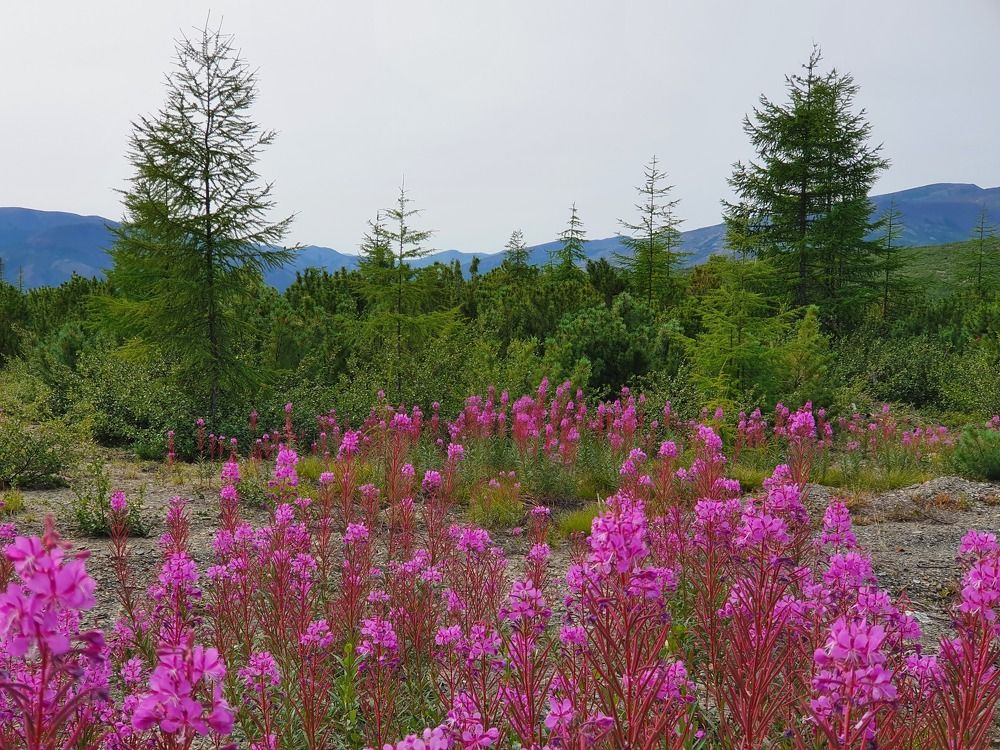 Photograph by Антон Жирнов