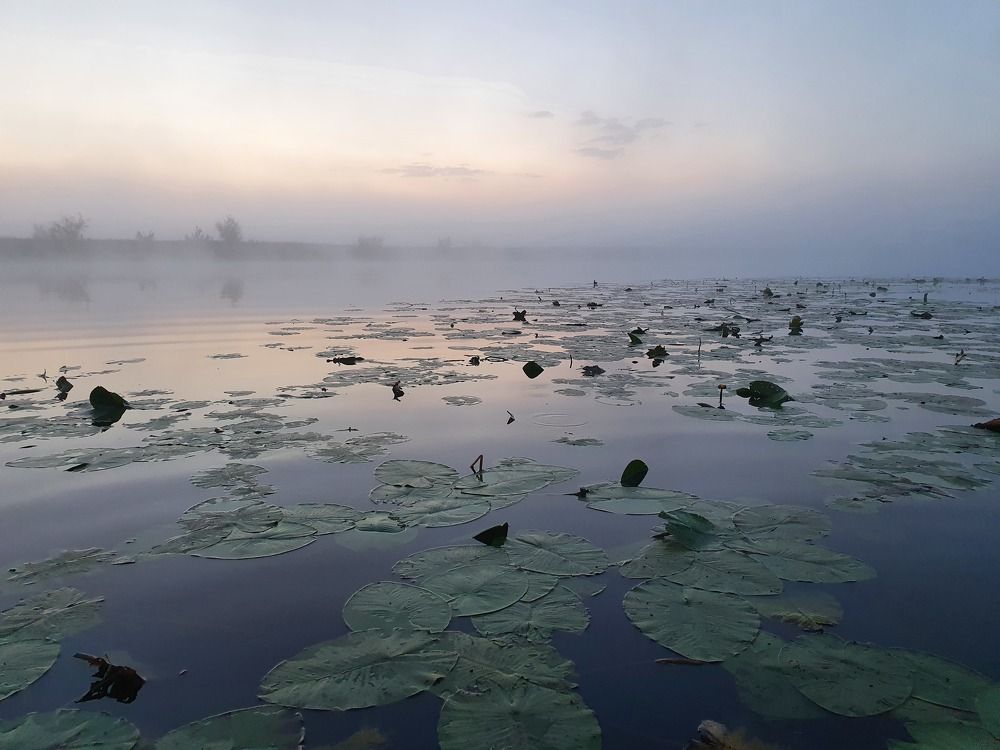 Photograph by Антон Жирнов