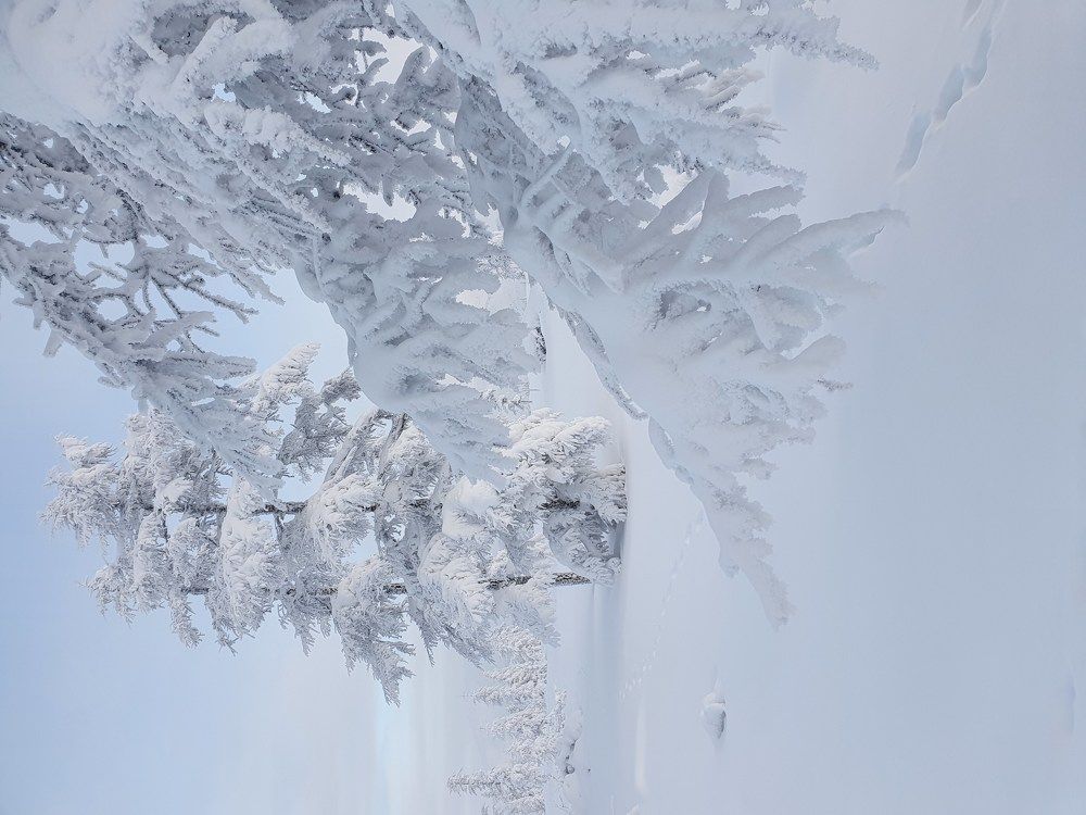 Photograph by Антон Жирнов