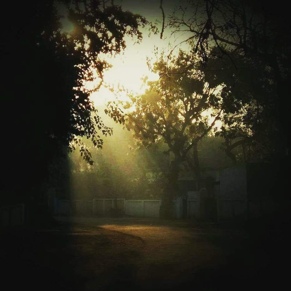 Фотография автора Santanu Dasgupta