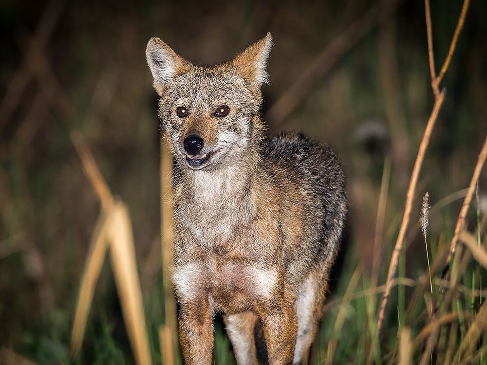Photograph by Сергей Савви