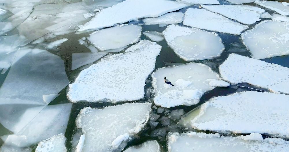 Photograph by Валентина Тагильцева