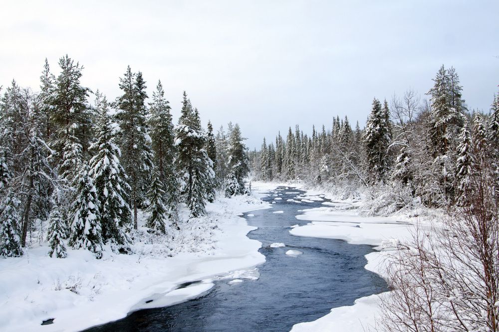 Winterstream