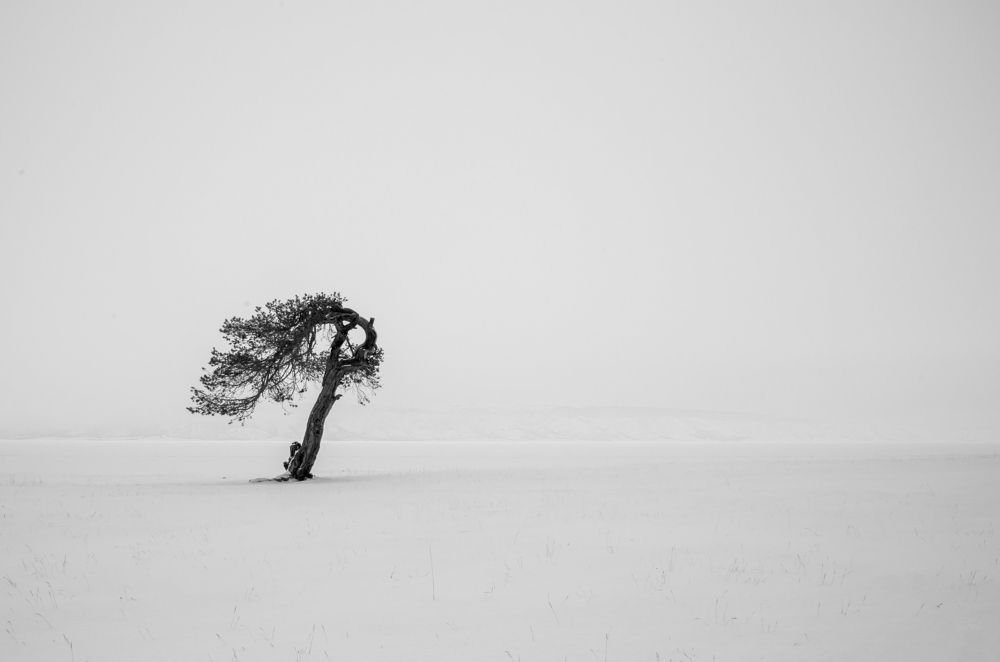 Одиночество