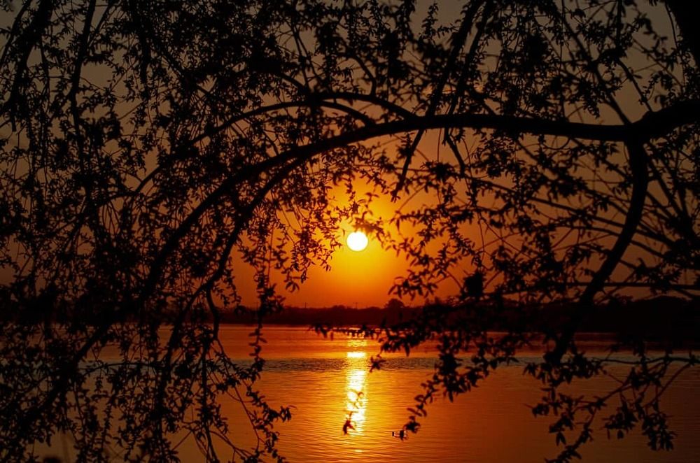 Photograph by Сергей Григоров