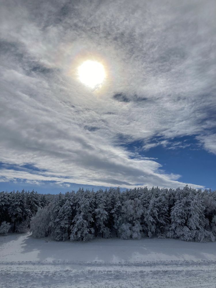 Зимнее солнцестояние