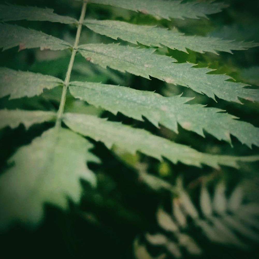 Photograph by Иван Соловьев