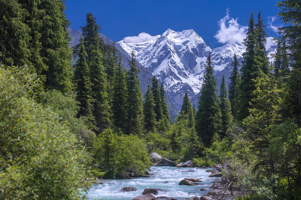 Фотография автора Татьяна Меньшикова