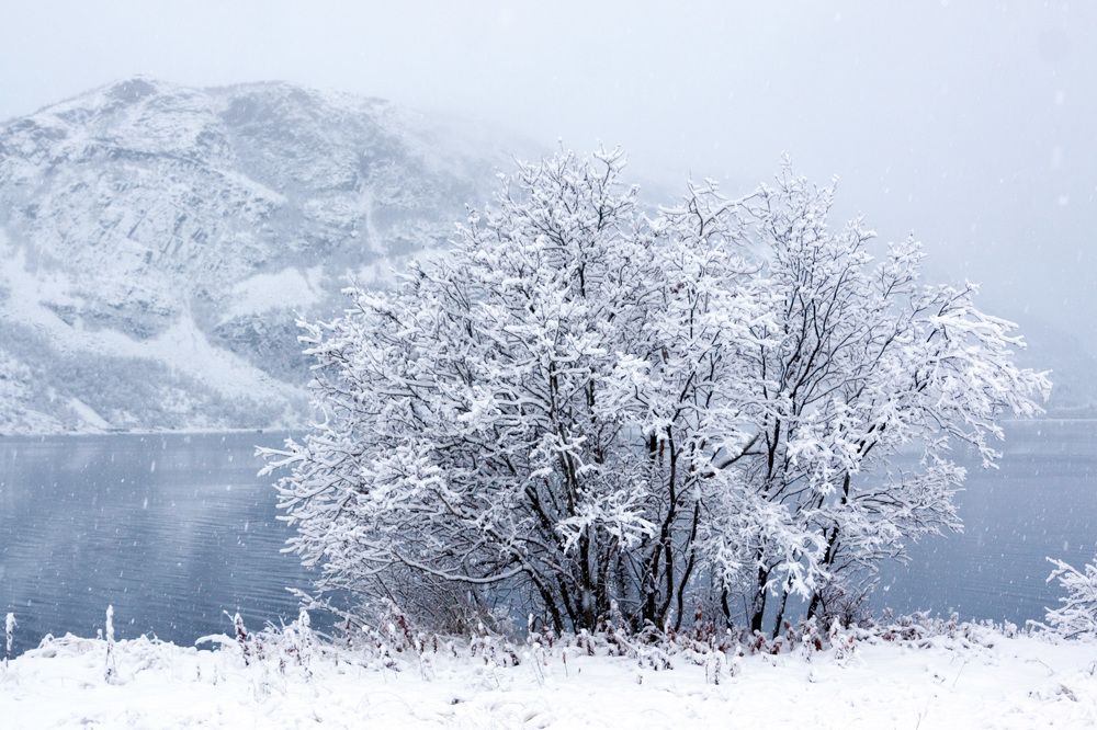 Фотография автора Андрей Русских
