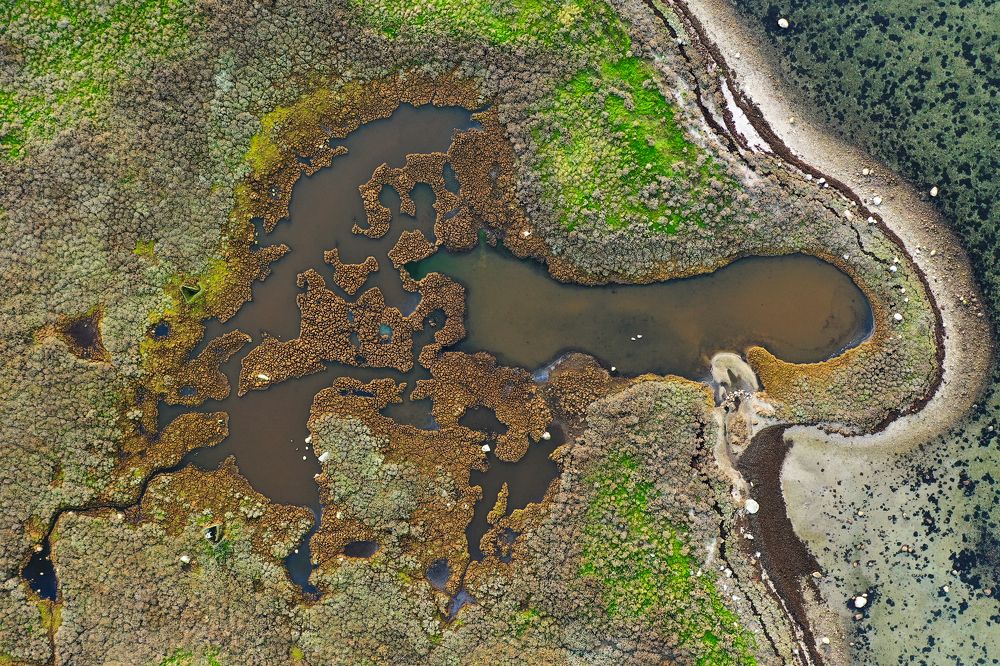 Photograph by Ernestas Balcikonis