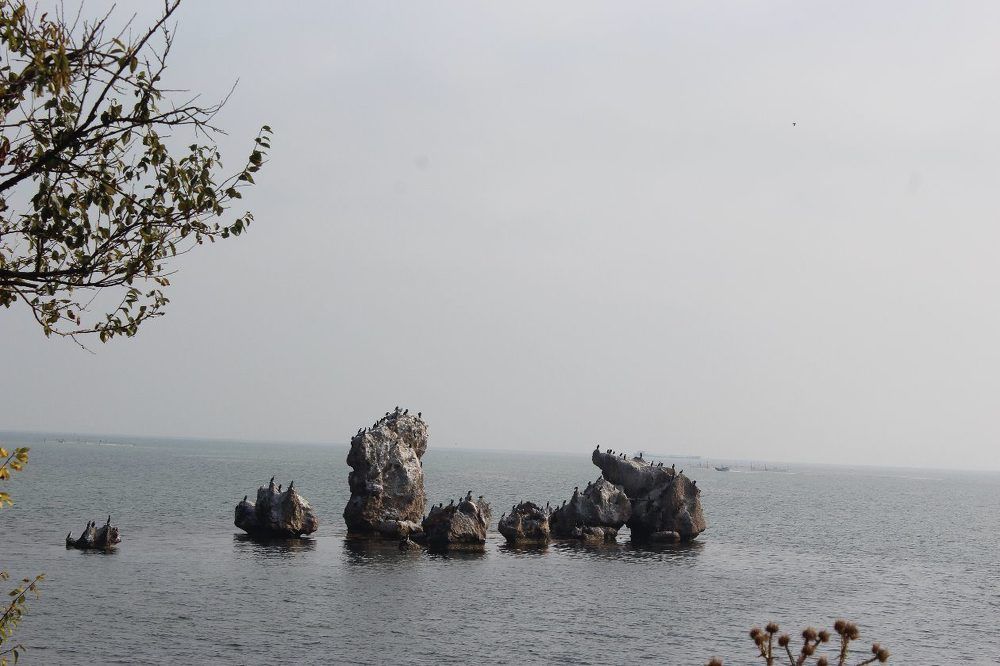 Photograph by Нина Гирнык