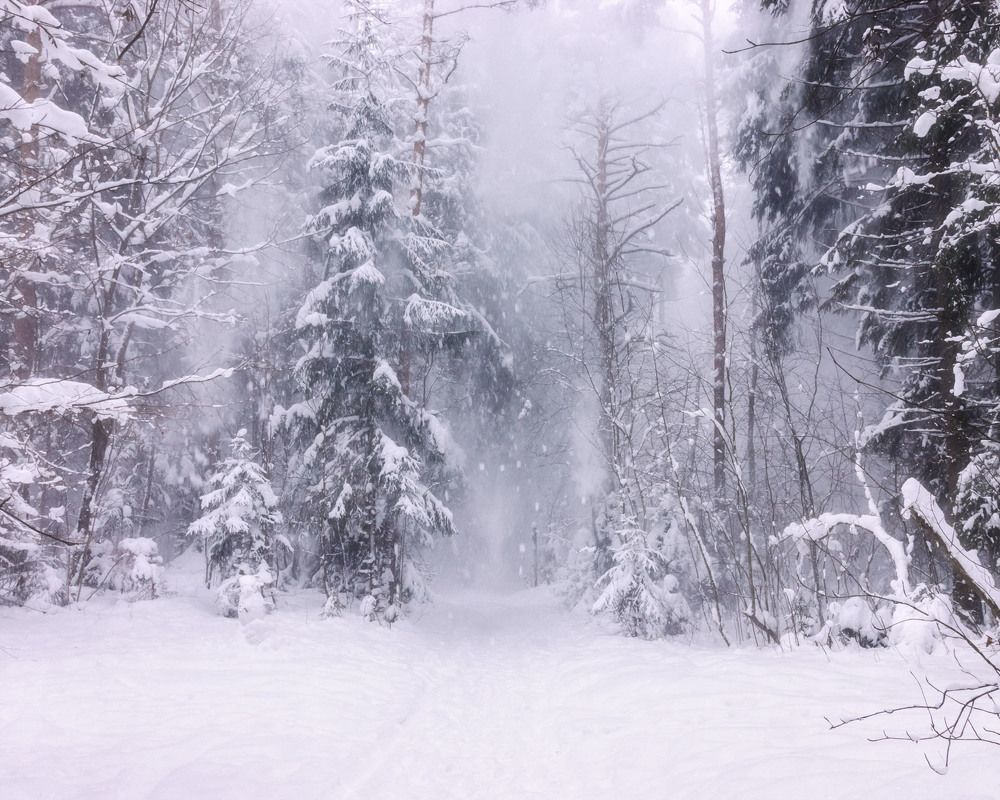 Photograph by Алексей Герасимов