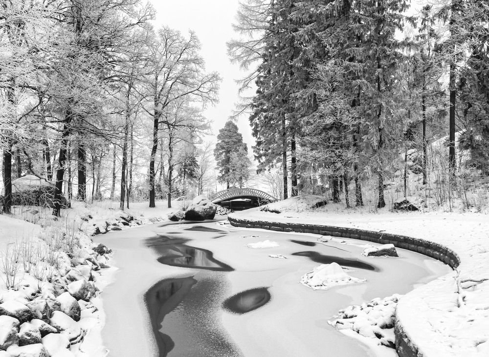 Photograph by Алексей Герасимов