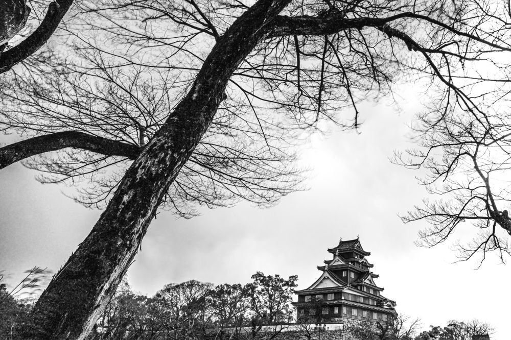 Photograph by Refat Sameh