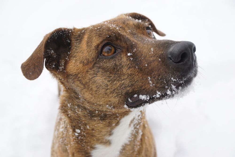 Photograph by света хлевненко