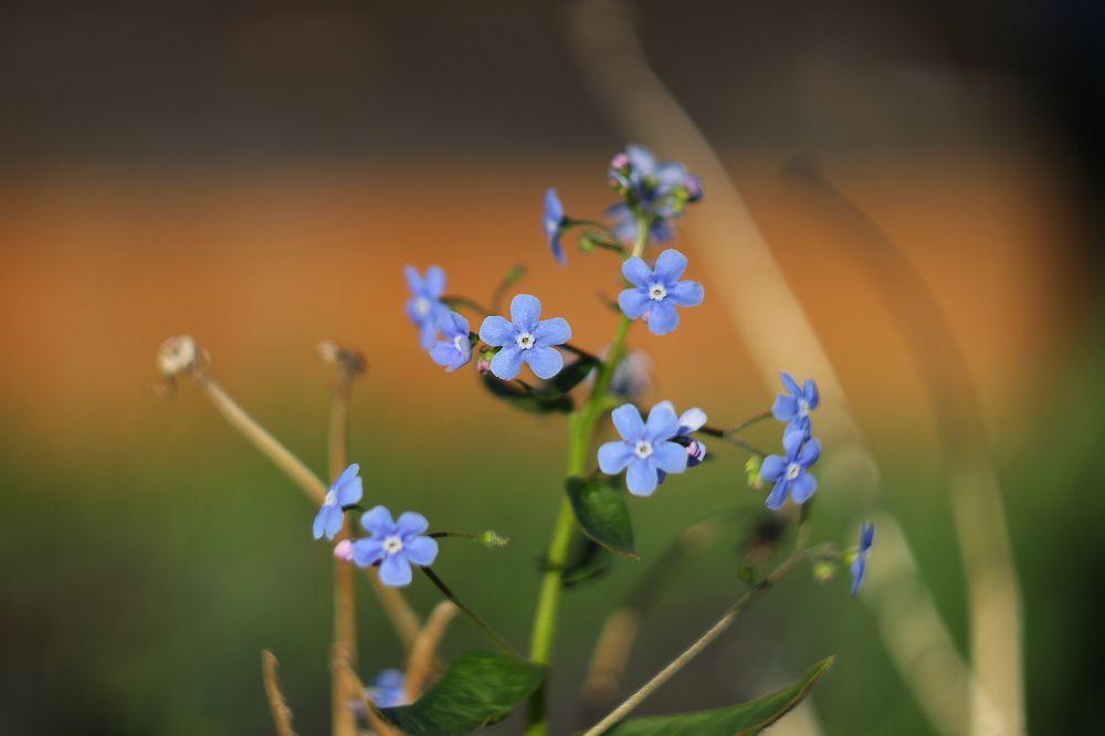 головокружение
