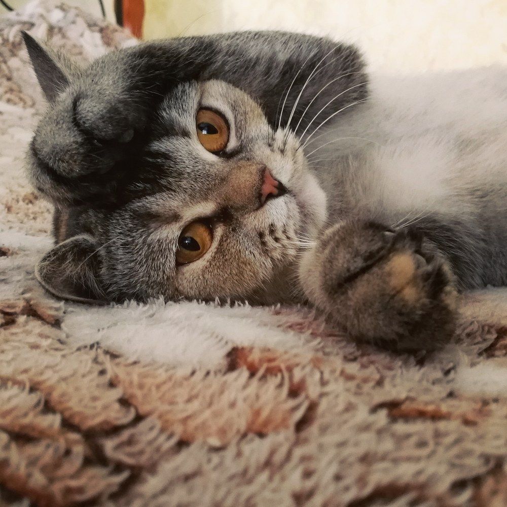 Photograph by Евгения Инютина