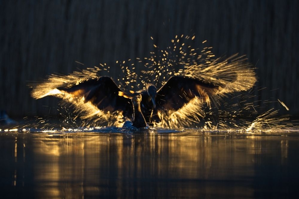 Photograph by Juraj Benčík