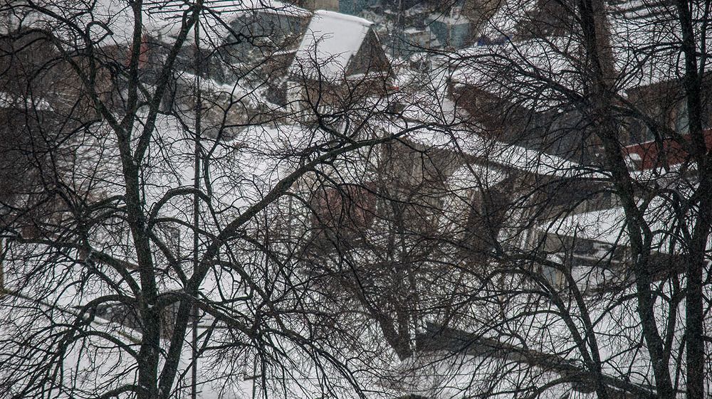 Photograph by Васильев Юрий