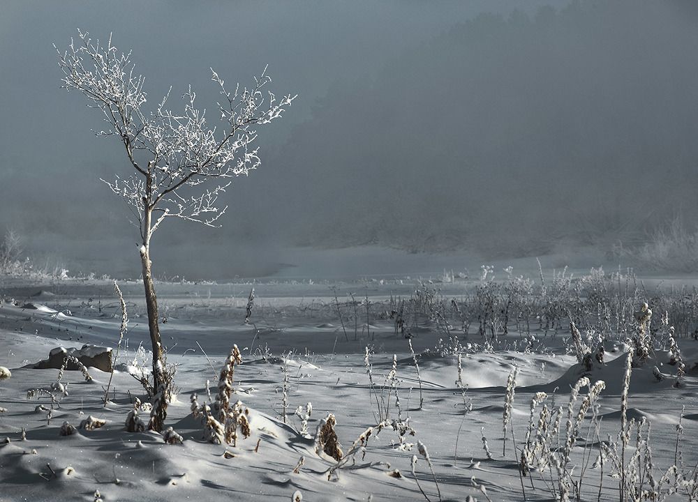 50 оттенков серого