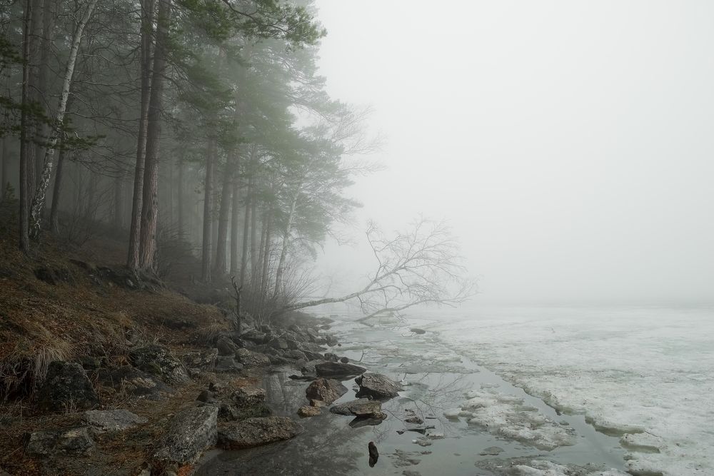-Вдоль туманных берегов...