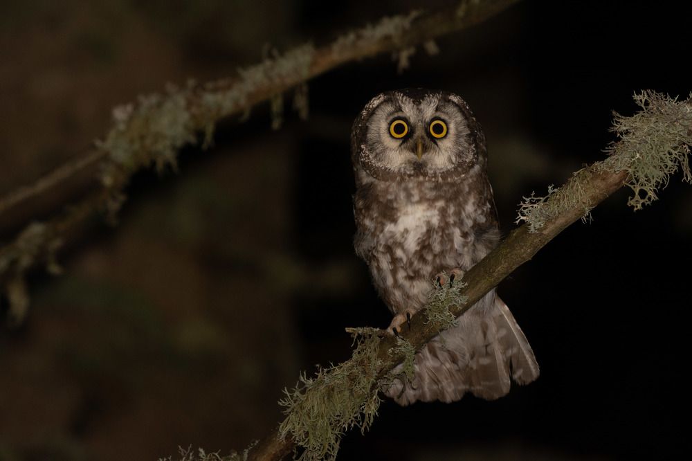 Photograph by Bine Mekina