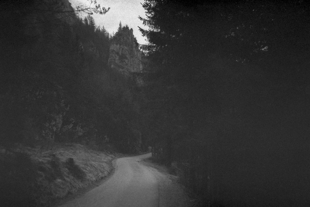 Photograph by Fran Sokolić