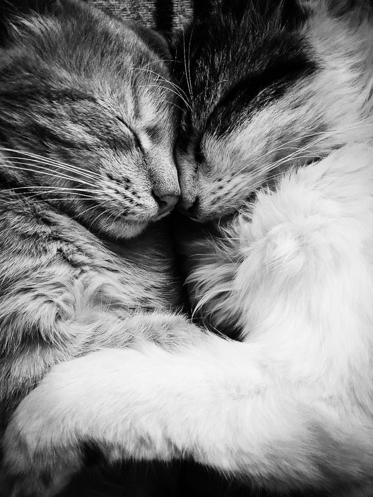 Photograph by Тимур Раджабов