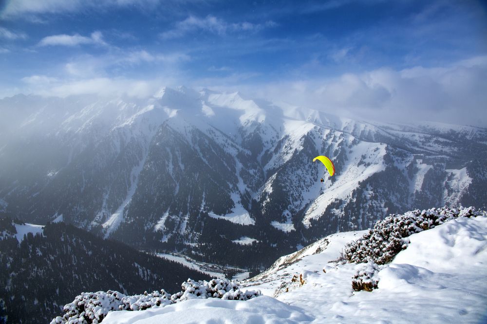 Фотография автора Татьяна Меньшикова