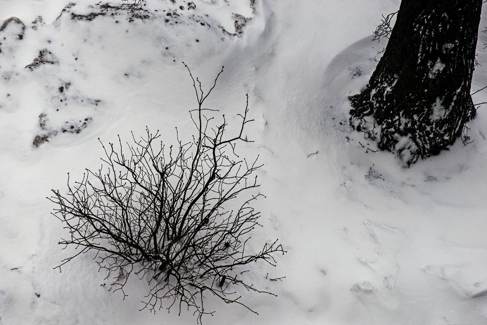 Photograph by Васильев Юрий