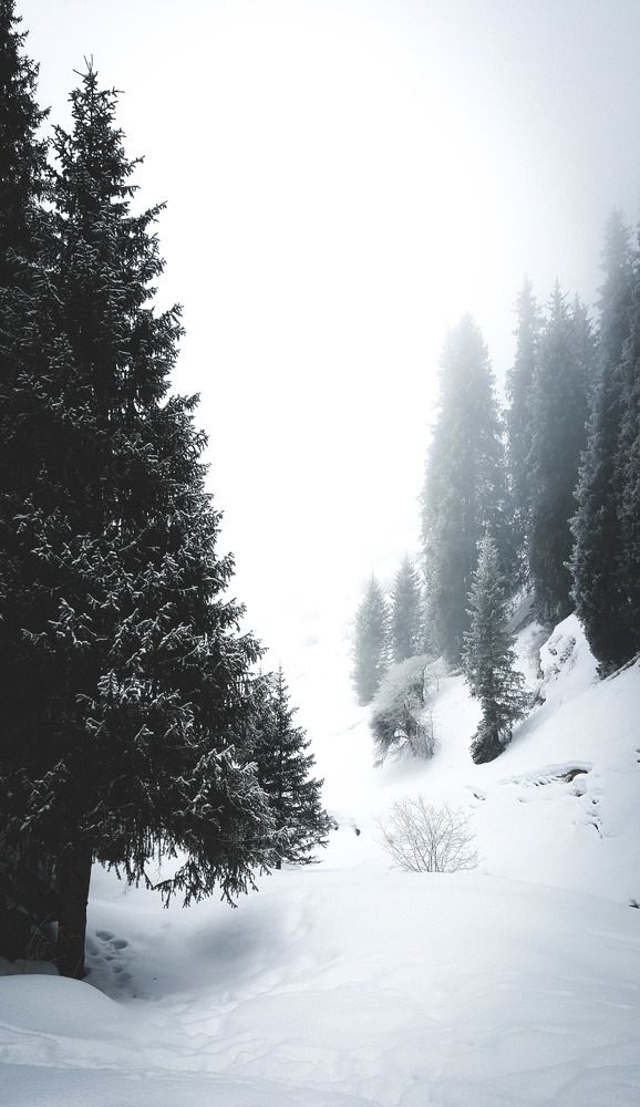 Photograph by Марина Горшкова