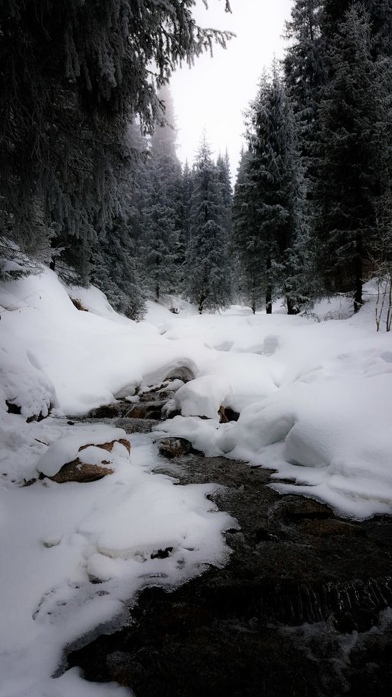 Photograph by Марина Горшкова