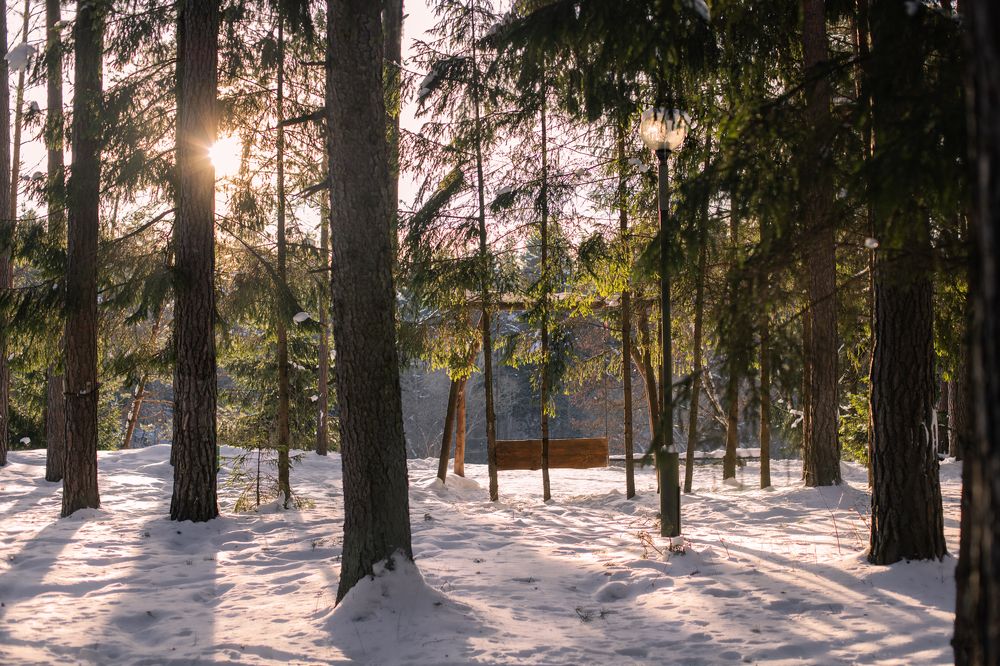 Photograph by Людмила Казак