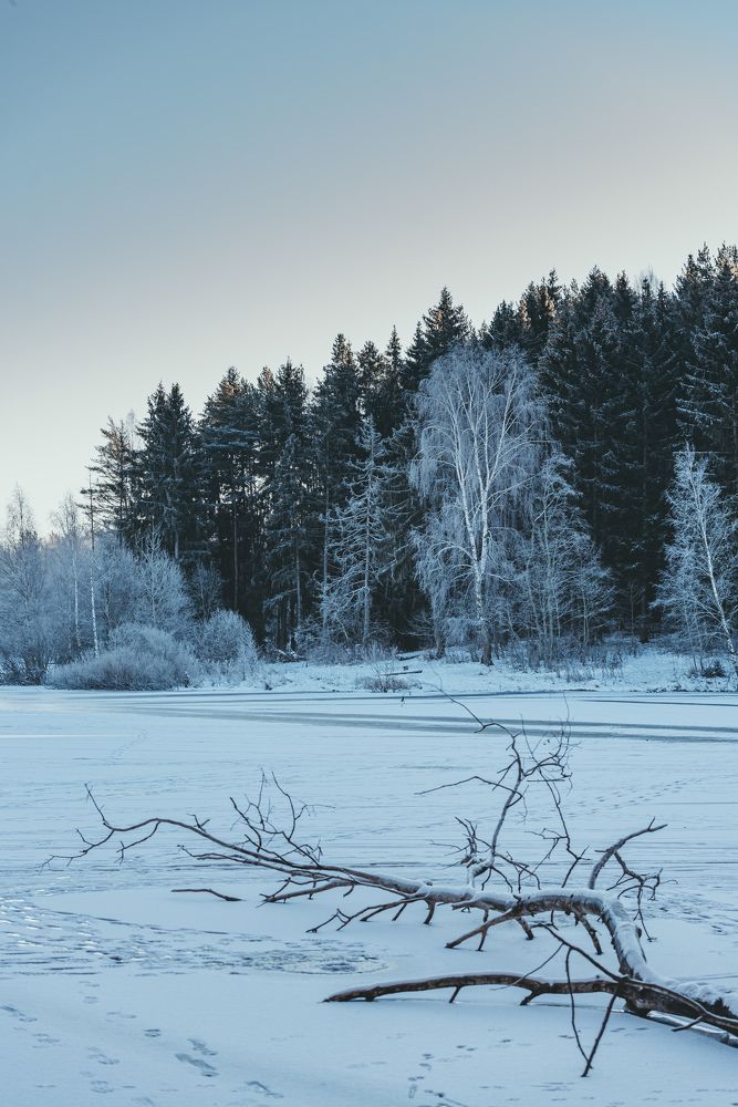 Лесное Озеро