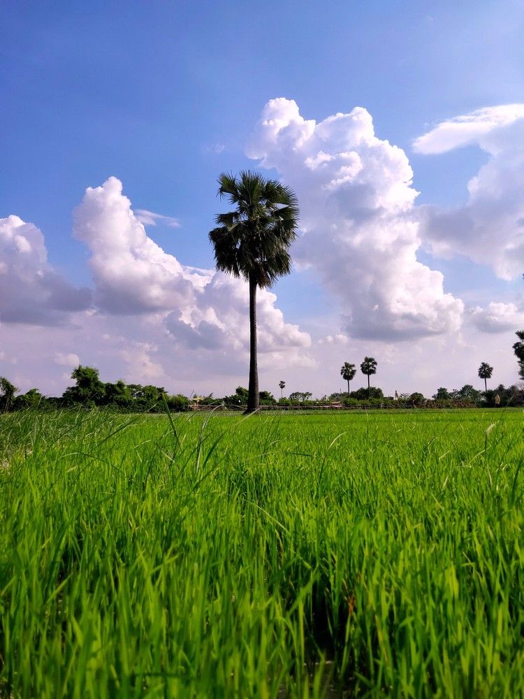 Photograph by ALI SAJID