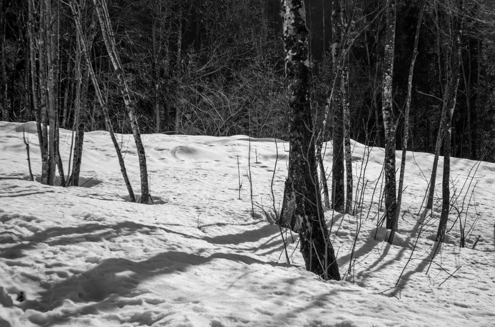 Фотография автора Nicola Semprevivo