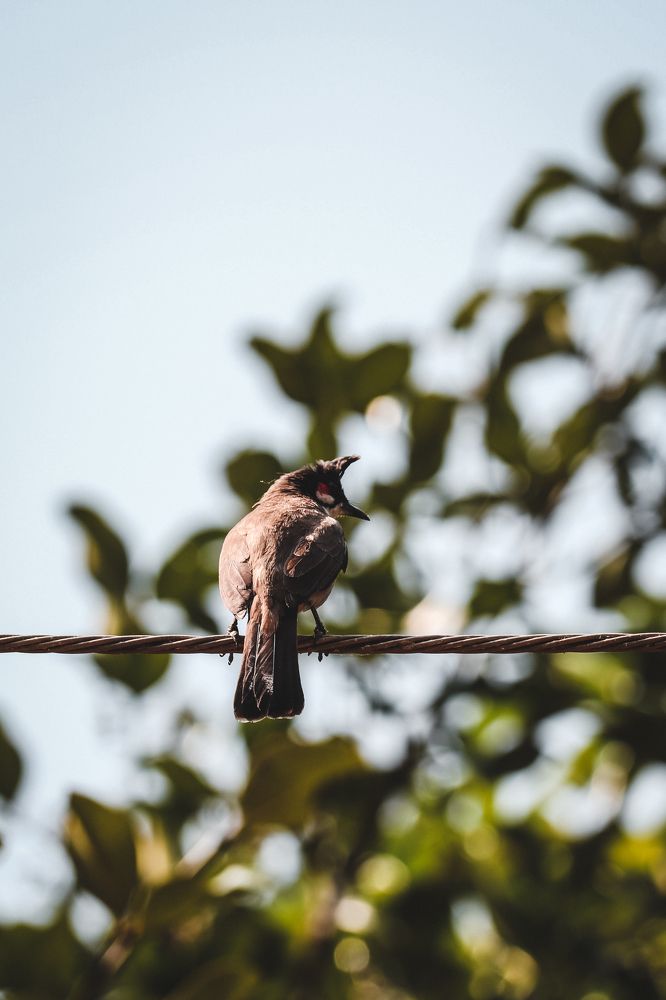 Photograph by Venkatesh r Kamath