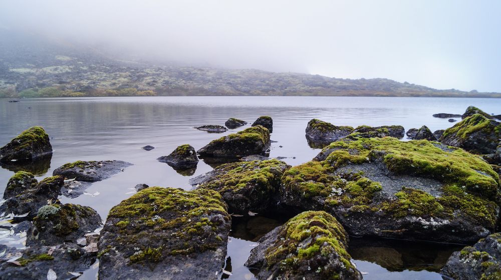 Photograph by Ekaterina Krylova