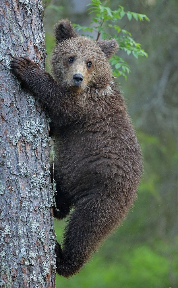 Снимай быстрей, меня другие ждут.