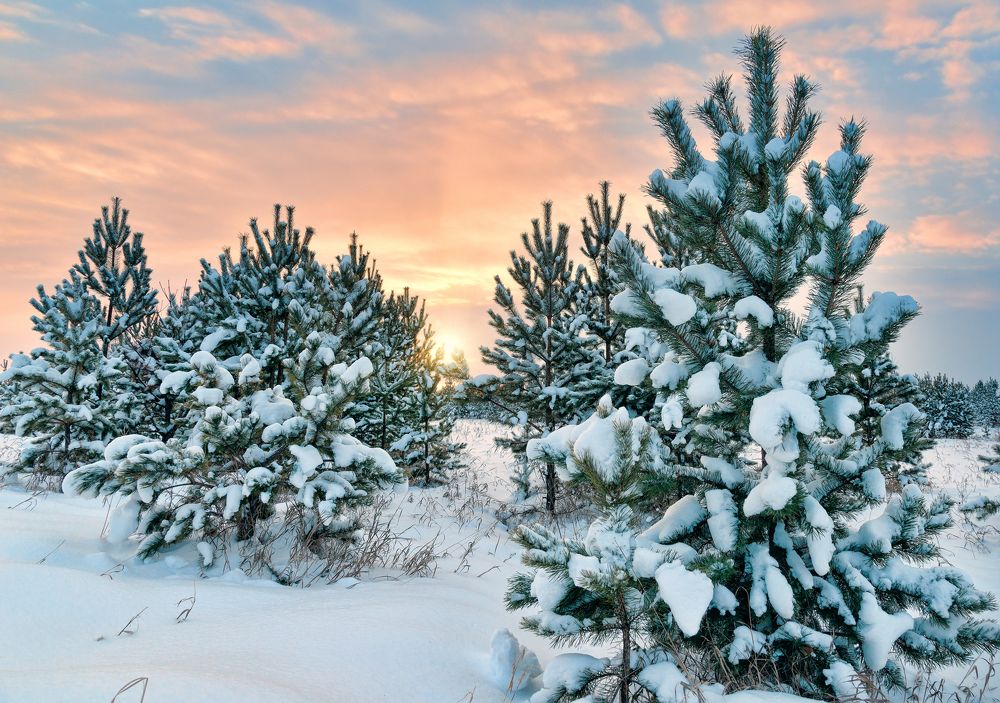 Photograph by Александр Кривошеин