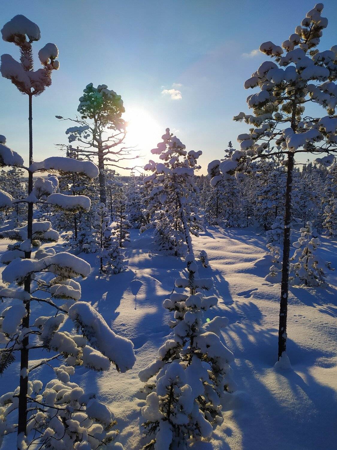 Photo #5917697